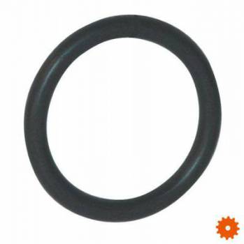 OR553P010 O-ring 55 x 3 10 st. -  
