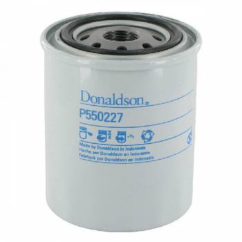 Motor filter P550227 -  