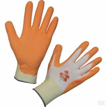 Tuinhandschoen oranje - HS297277 - - Naadloze fijn geweven handschoenen gemaakt van polyester
- Perfecte pasvorm en eenvoudige beweging vanwege ongecoate rug
- ademend
- Bedekt met zeer elastisch schuimrubber
- Aantrekkelijke kleuren en bloem ontwerp op de rug
Tuinhandschoen oranje - HS297277 - - Naadloze fijn geweven handschoenen gemaakt van polyester
- Perfecte pasvorm en eenvoudige beweging vanwege ongecoate rug
- ademend
- Bedekt met zeer elastisch schuimrubber
- Aantrekkelijke kleuren en bloem ontwerp op de rug