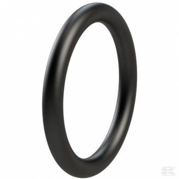 OR255VP001 O-ring 25 x 5 Viton - OR255VP001  