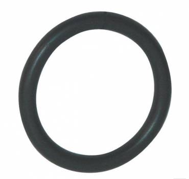 OR495P001 O-ring 49 x 5 - OR495P001 