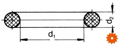 Quadringen - XR4404353P001 