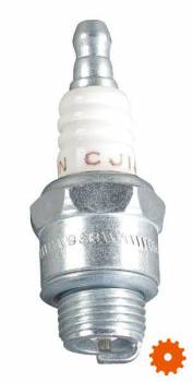 Bougie's Champion - CJ14 