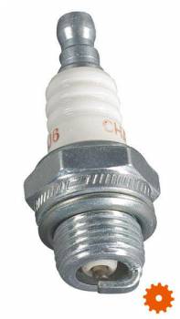 Bougie's Champion - CJ6 