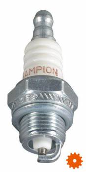 Bougie's Champion - CJ6Y 