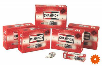 Bougie's Champion - CJ7Y 