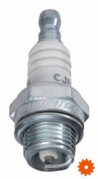 Bougie's Champion - CJ8 