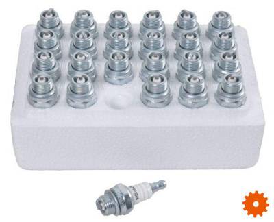 Bougie's Bulkverpakking Champion - CJ8W24 