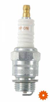 Bougie's Champion - D9 