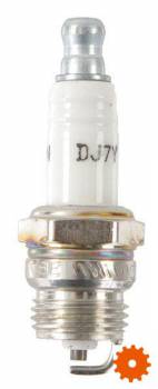 Bougie's Champion - DJ7Y 