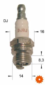 Bougie's Champion - DJ8J 