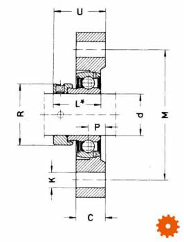 Lagerhuizen gietijzer INA/FAG, serie FLCTE - GGLCTE04E 