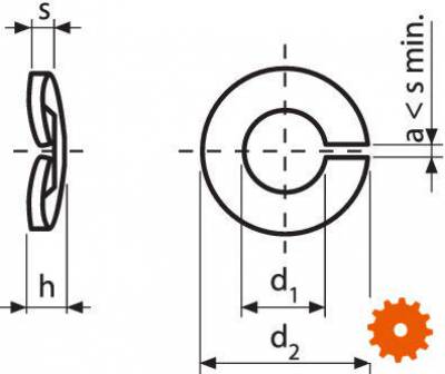 DIN 128A Gewelfde veerringen RVS A4 - AISI 316 -  