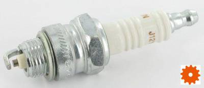 Bougie's Champion - J12YC 