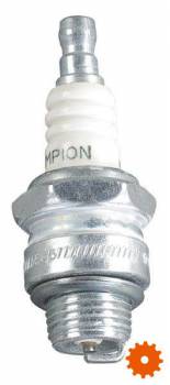 Bougie's Champion - J17LM 