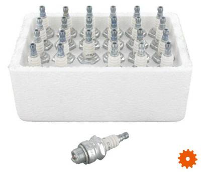 Bougie's Bulkverpakking Champion - J17LMW24 