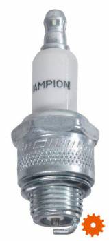 Bougie's Champion - J19LM 