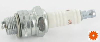 Bougie's Champion - J6C 