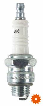 Bougie's Champion - J8C 