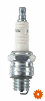 Bougie's Champion - L82C 