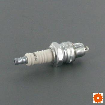 Bougie's Champion - L82YC 