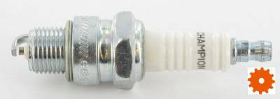 Bougie's Champion - L92YC 