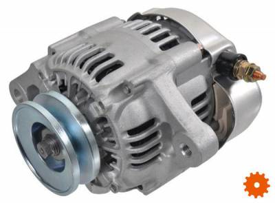 Dynamo 14V 45A - ALT26250461 