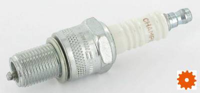 Bougie's Champion - N21 