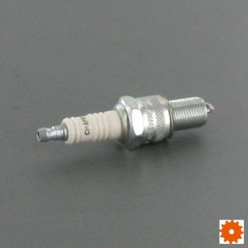 Bougie's Champion - N7YC 