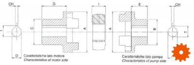 Koppeling Compleet voor Verbrandingsmotoren - ND600 
