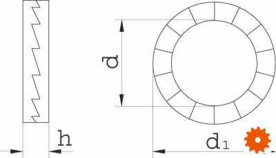 Nord-Lock borgringen gelijmd RVS A4 - AISI 316L -  