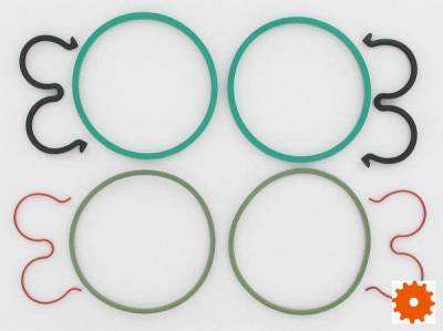 Afdichtingsets voor pumpen en motoren Bosch - 1517010193 