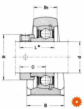 Lagerhuis PSHE - PSHE17 