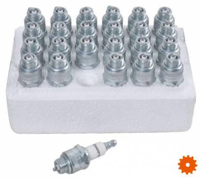 Bougie Champion (24 stuks) - RJ19LMW24 