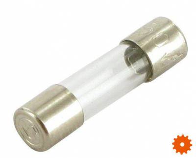 Glaszekeringen - SI23494 