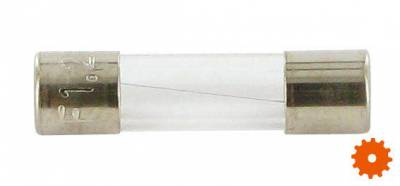 Glaszekeringen - SI23499 