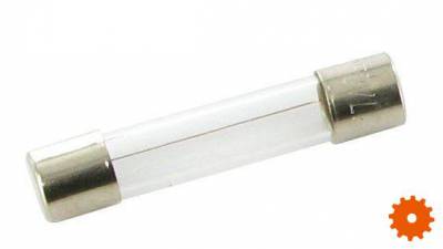 Glaszekeringen - SI23514 