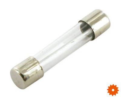 Glaszekeringen - SI23519 