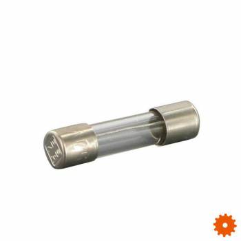 Glaszekeringen - ZEK52000250 