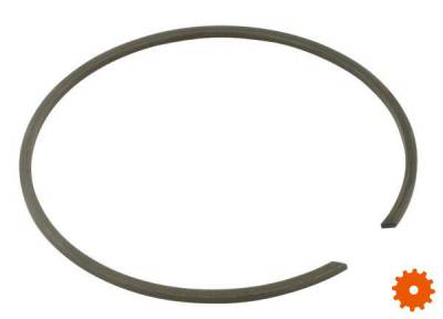 Borgring voor huis - BR107 