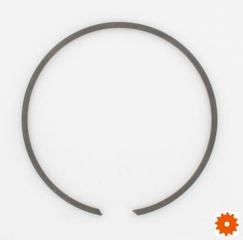 Borgring voor huis - BR110 