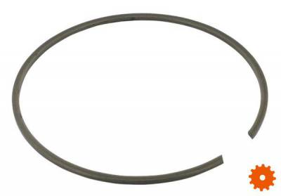 Borgring voor huis - BR115 