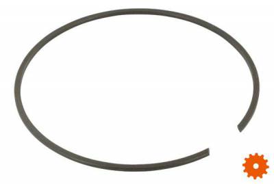 Borgring voor huis - BR125 