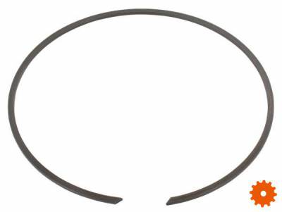 Borgring voor huis - BR160 