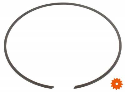 Borgring voor huis - BR180 