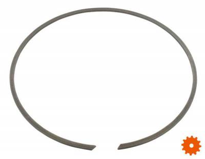 Borgring voor huis - BR205 