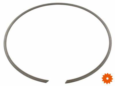 Borgring voor huis - BR300 