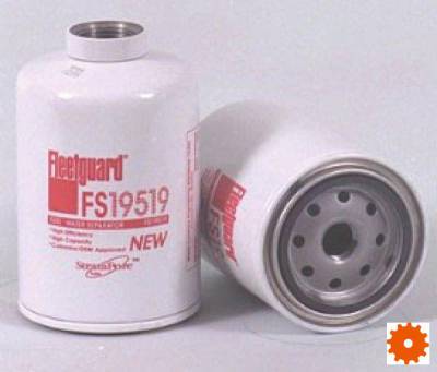 Brandstoffilter - FS19519 