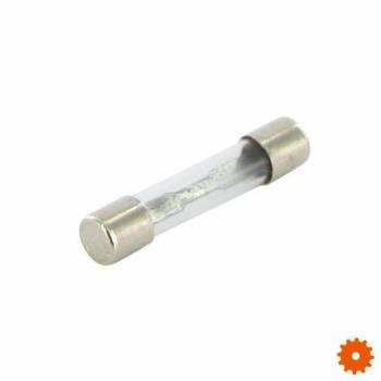 Glaszekeringen - SI23520 