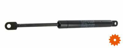 Gasdrukveer L209-300N - CA105244 